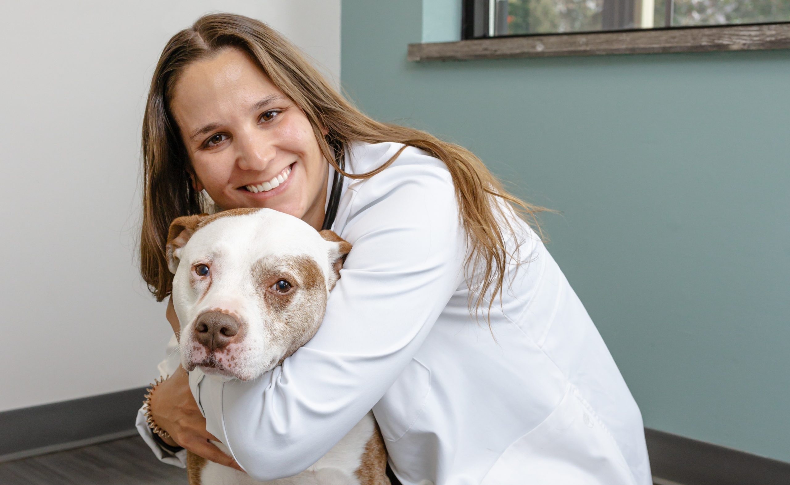 Healing the Healers: Nurturing Mental Health Among Veterinary Professionals