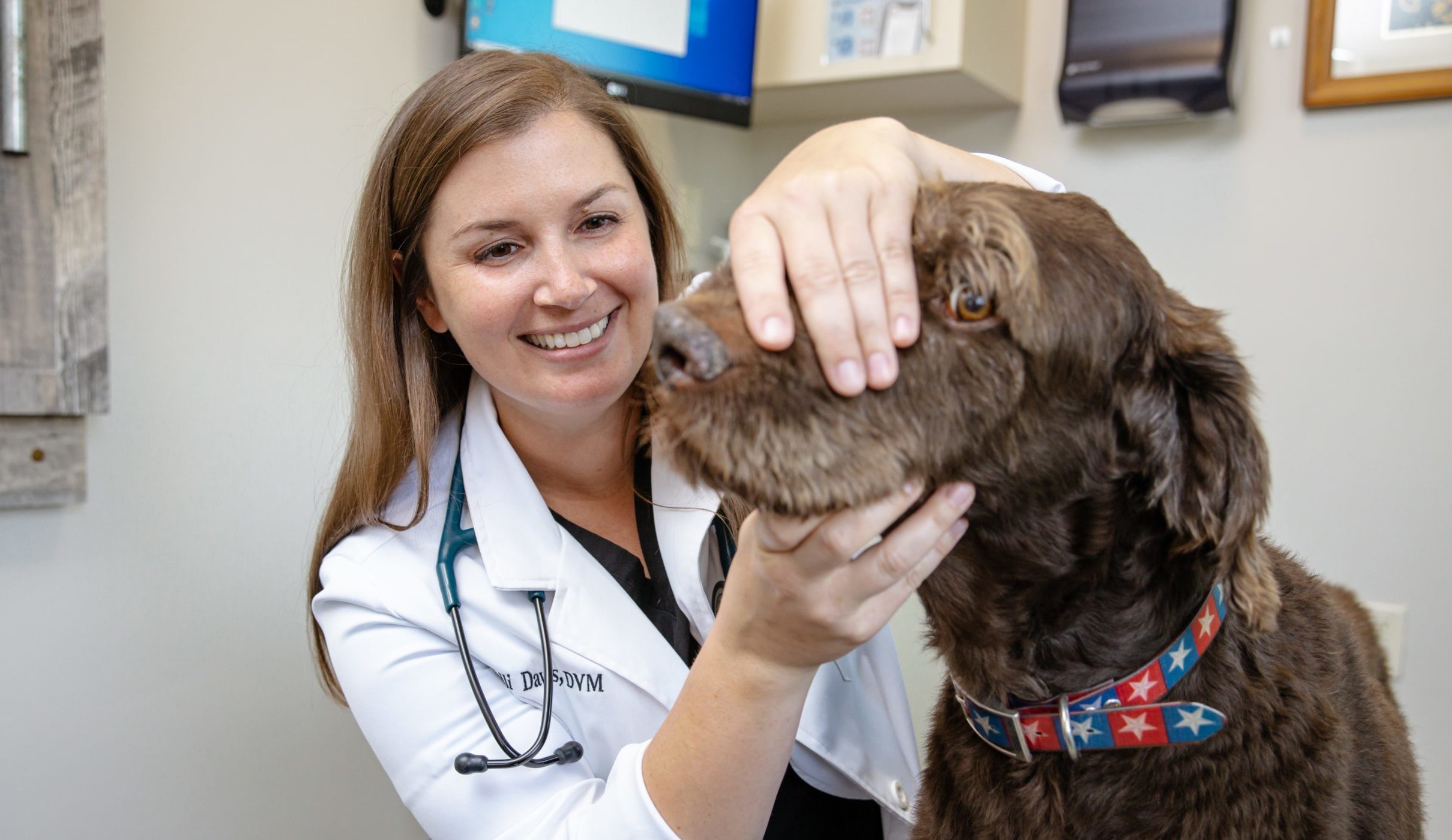 Tooth Be Told: The Importance of Regular Dental Care for Pets