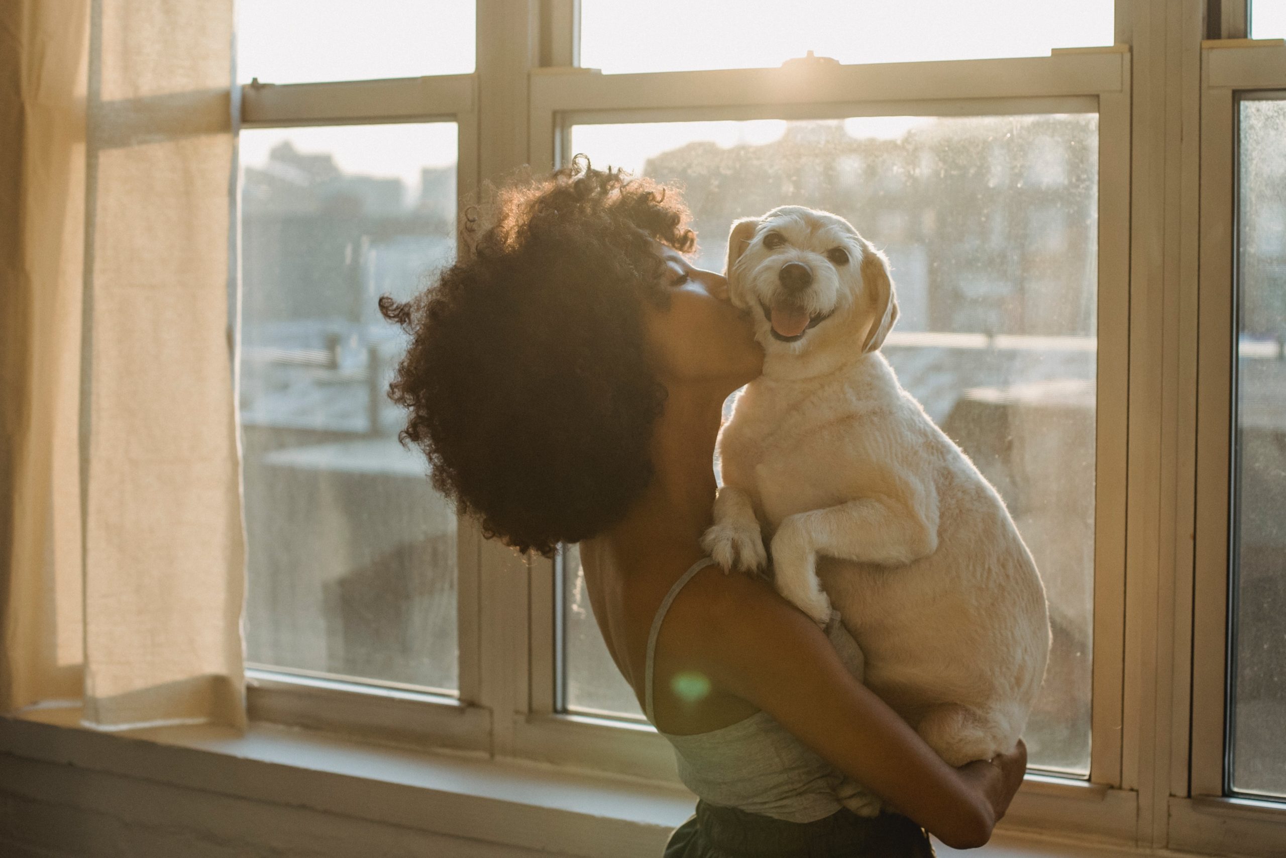 The Complete Guide to Pet Dental Cleaning: A Step-by-Step Overview