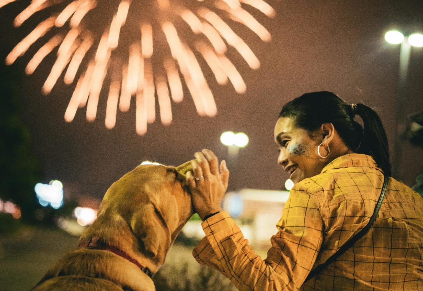 Safety Tips for Fourth of July: Preventing Pet Escapes During Fireworks