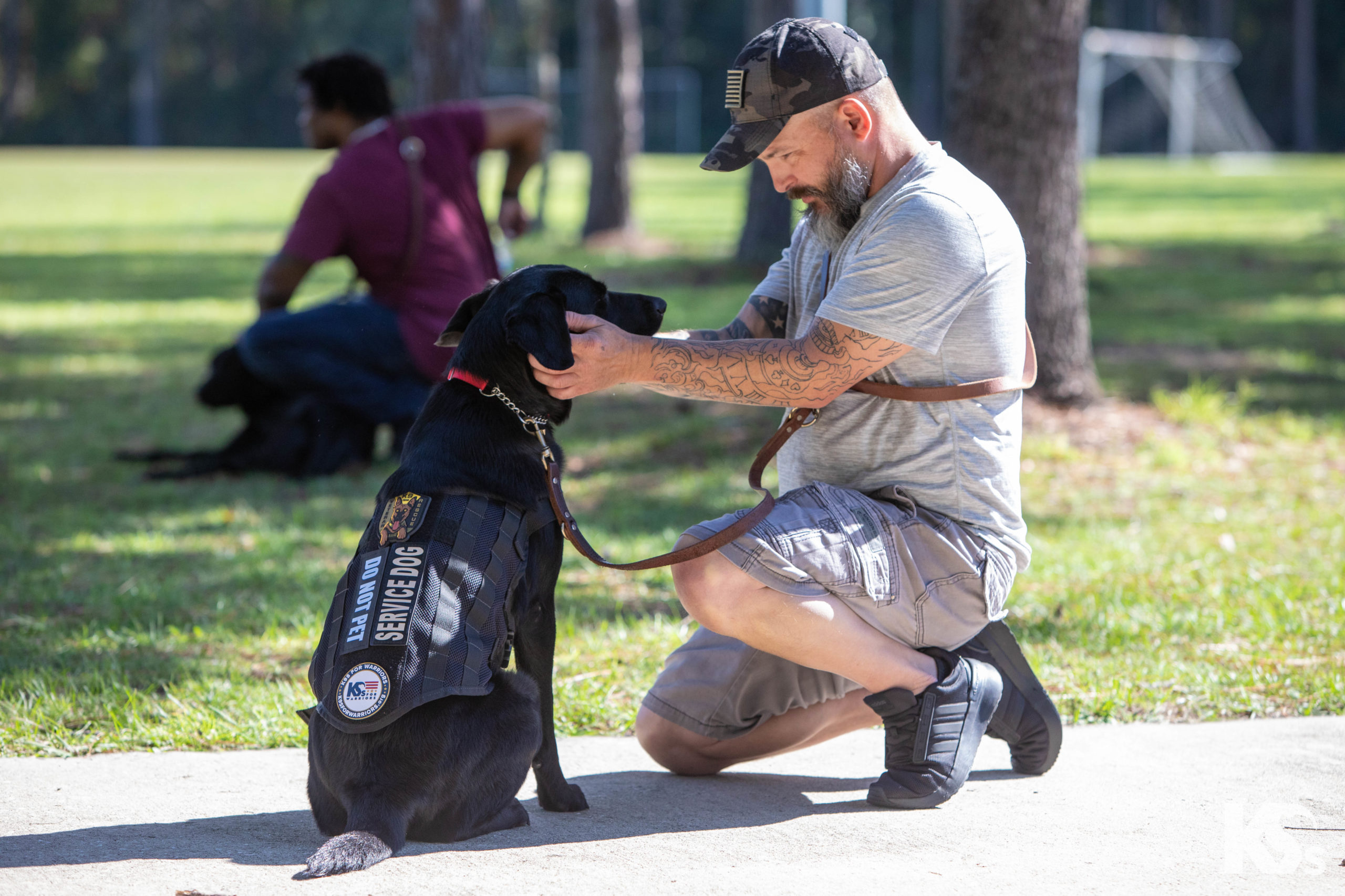 Pets for Veterans Day: Honoring the Bond Between Veterans and Their Therapy Dogs