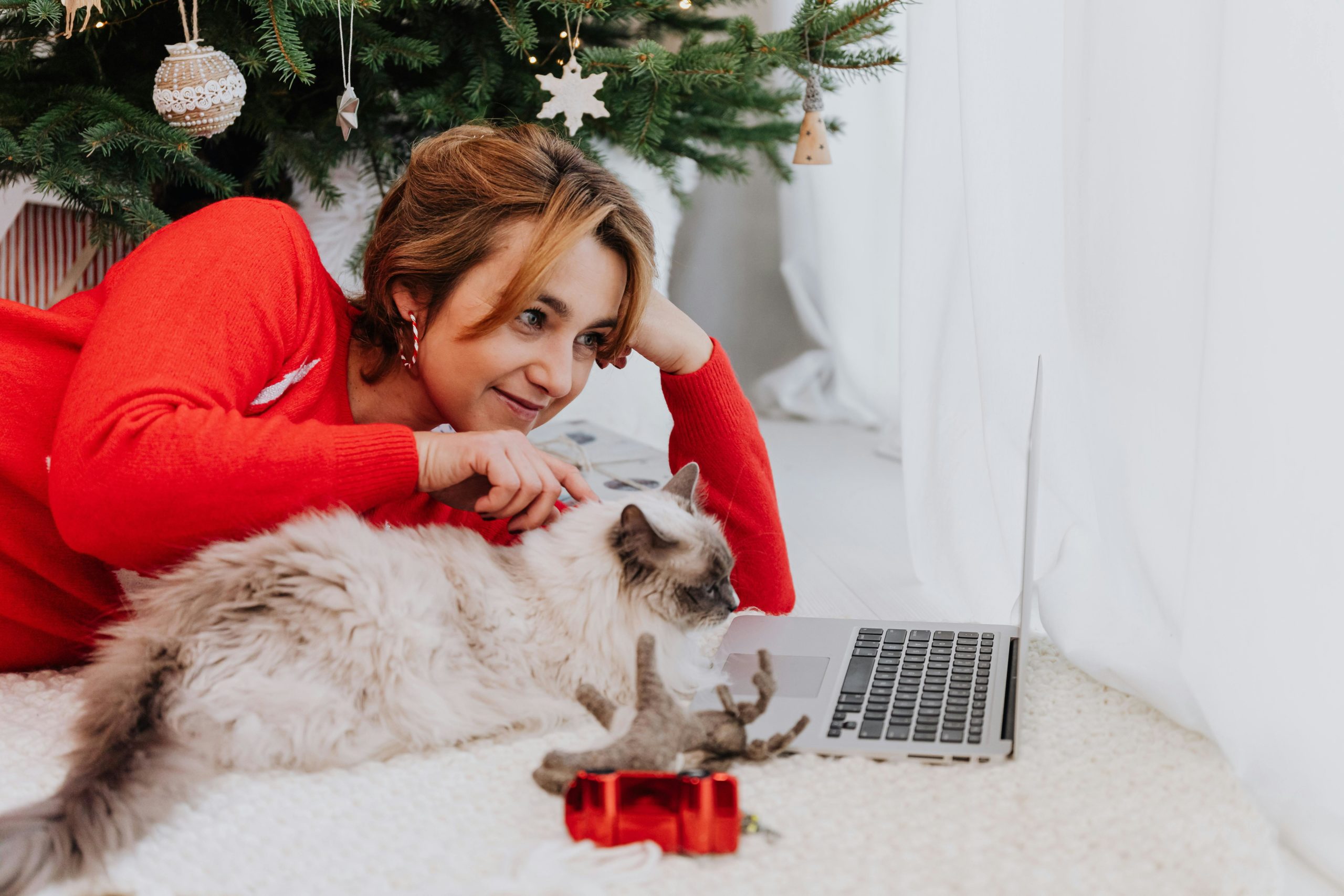 Holiday Gift Guide: Perfect Presents for Pets and Their Owners