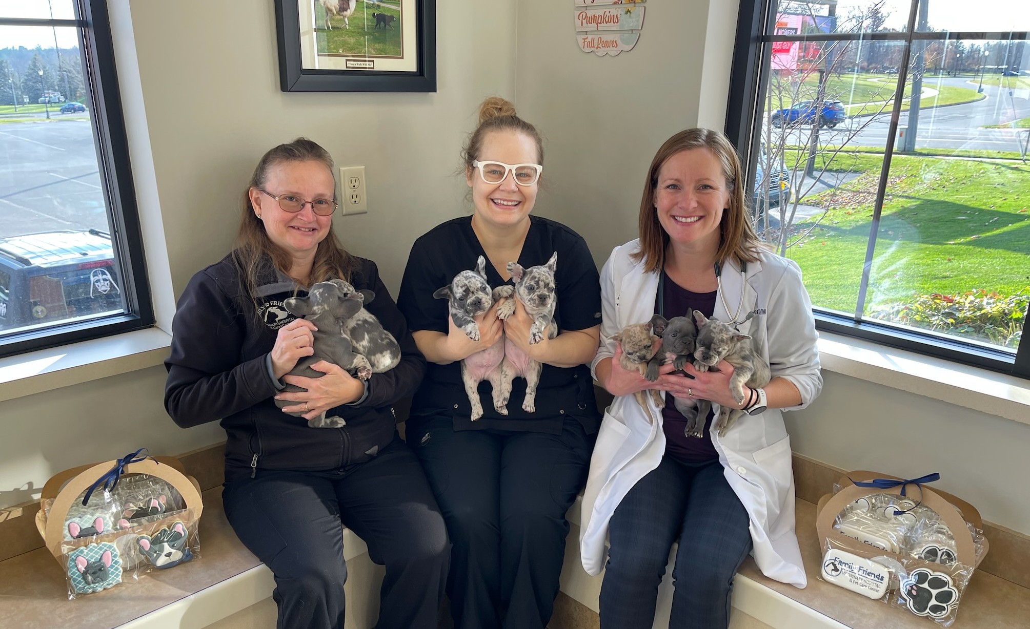 Responsible Canine Breeding Practices: A Guide for Ethical Breeders